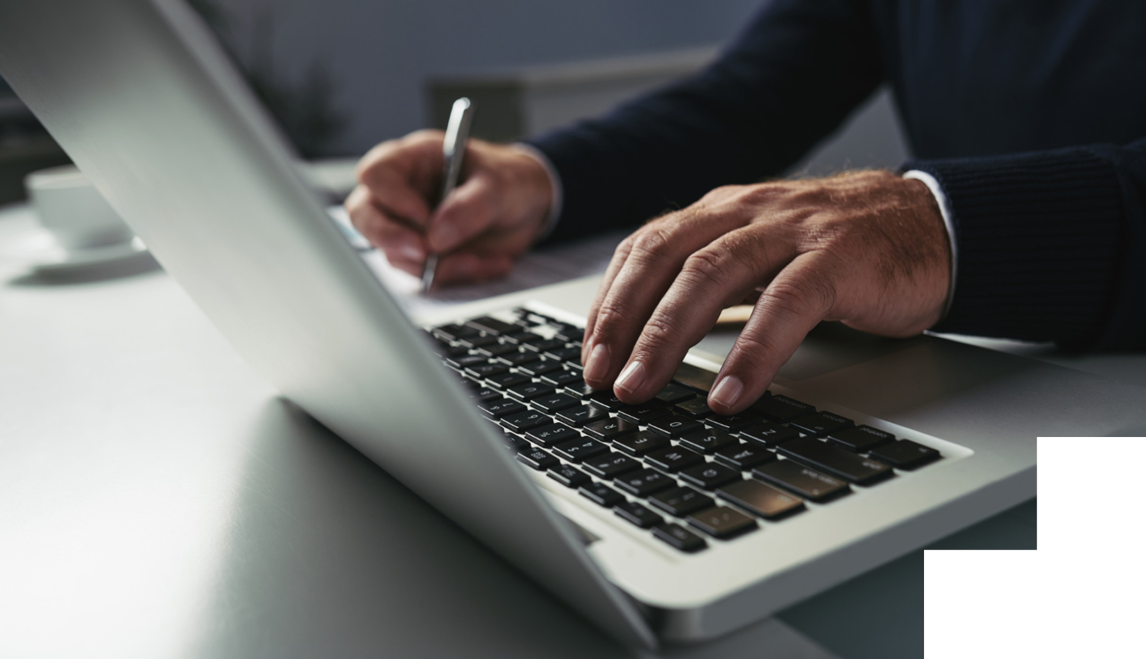 Information Technology Law and Cyber Law - Legal expertise and representation